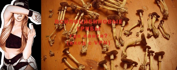MESCALINE Корсаков