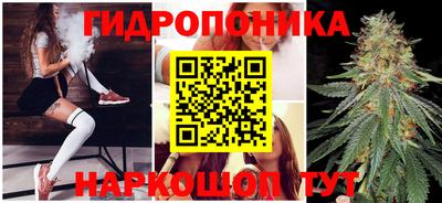 эйфоретик Заводоуковск