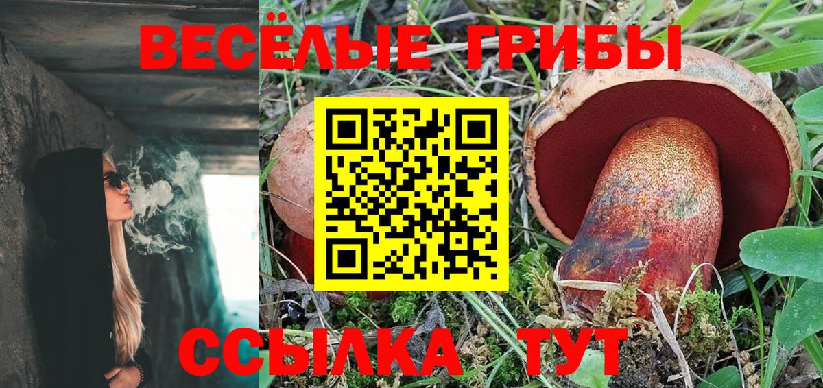 Галлюциногенные грибы GOLDEN TEACHER  Ревда 
