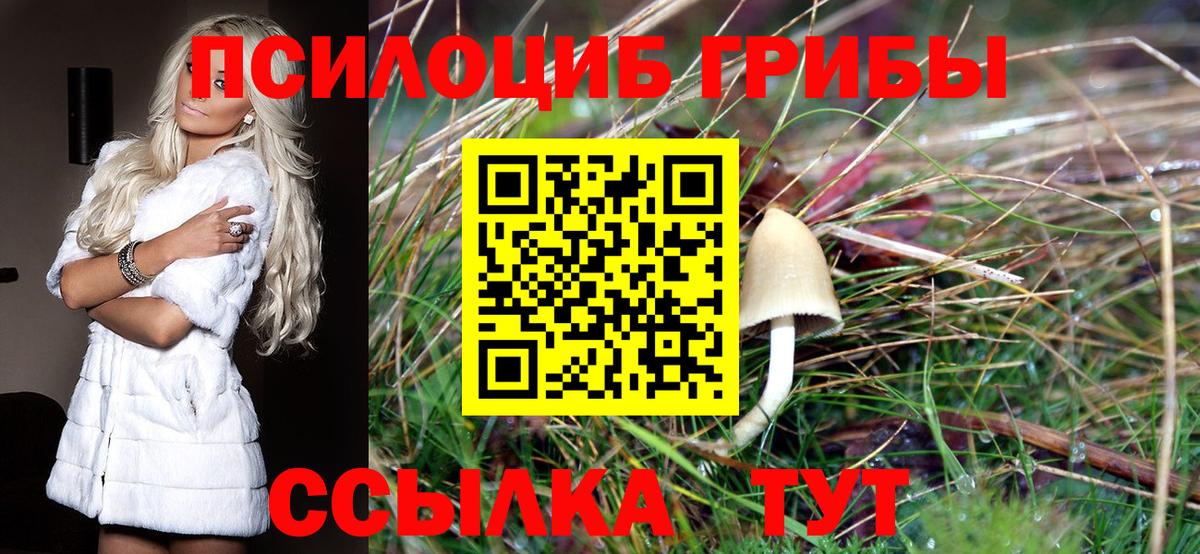 Ревда  Галлюциногенные грибы Cubensis  Вход с VPN 